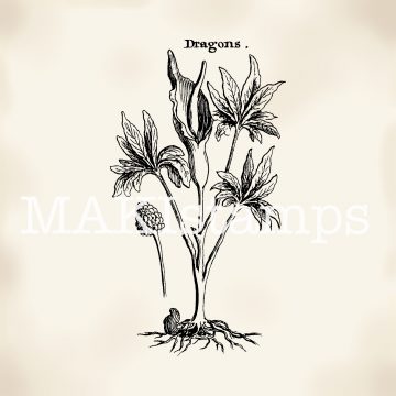 MAKIstamps botanical rubber stamps