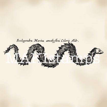 Mythical creature rubber stamp basilisk MAKIstamps