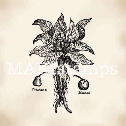 Rubber stamp Mandrake root MAKIstamps