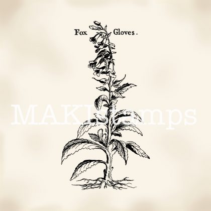 Plant rubber stamp fox gloves MAKIstamps