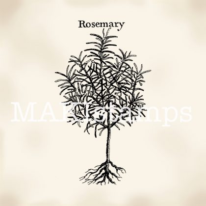 Plant stamp Rosemary MAKIstamps