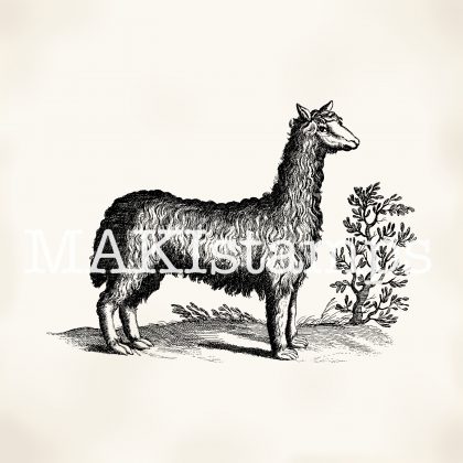 Llama rubber stamp MAKIstamps