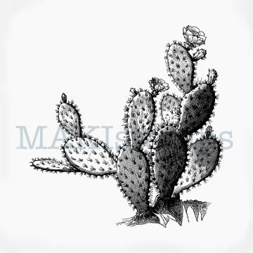 Kaktus Stempel Opuntie MAKIstamps