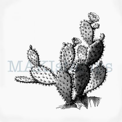 Cactus rubber stamp opuntia MAKIstamps