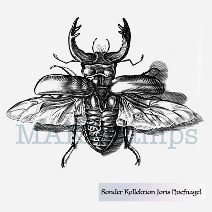 medieval stag beetle rubber stamp Hoefnagel special collection MAKIstamps