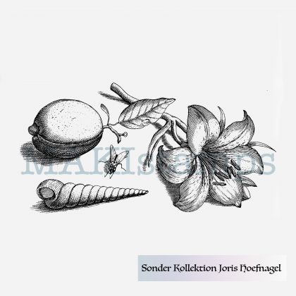 Georg Hoefnagel Stempel Stillleben mit Lilie MAKIstamps Sonder Kollektion 2019